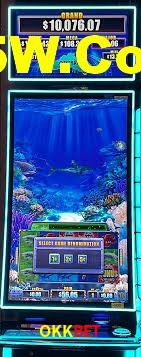 Experiência VIP OKKbet